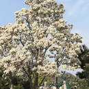 北京旅游 缩略图 14