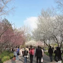 北京旅游 缩略图 10