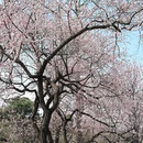 北京旅游 缩略图 16