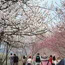 北京旅游 缩略图 4
