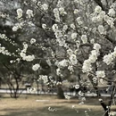 北京旅游 缩略图 4