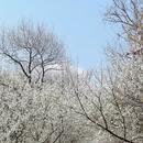 北京旅游 缩略图 2