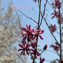 北京旅游 缩略图 7
