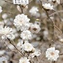 北京旅游 缩略图 5