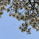 北京旅游 缩略图 6