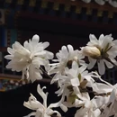 北京旅游 缩略图 12