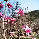 北京旅游 缩略图 4