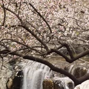 北京旅游 缩略图 8