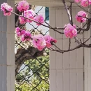 北京旅游 缩略图 13