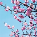 北京旅游 缩略图 14