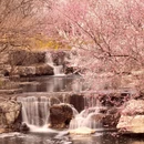 北京旅游 缩略图 9
