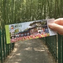 北京旅游 缩略图 7