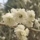 北京旅游 缩略图 5