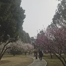 北京旅游 缩略图 4
