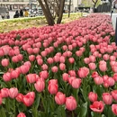 北京旅游 缩略图 3