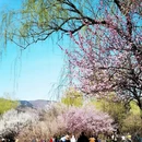 北京旅游 缩略图 3