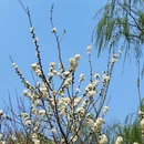 北京旅游 缩略图 3