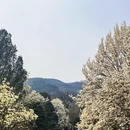 北京旅游 缩略图 10