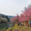 北京旅游 缩略图 6