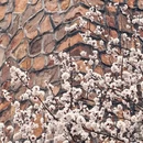 北京旅游 缩略图 9