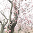 北京旅游 缩略图 2