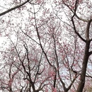 北京旅游 缩略图 8