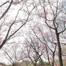 北京旅游 缩略图 9