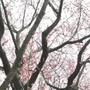 北京旅游 缩略图 5
