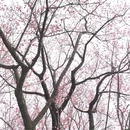 北京旅游 缩略图 6