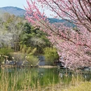北京旅游 缩略图 1