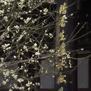 北京旅游 缩略图 4