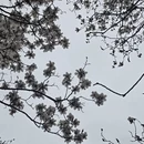 北京旅游 缩略图 9