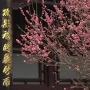 北京旅游 缩略图 5
