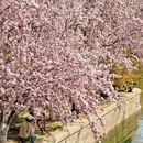 北京旅游 缩略图 18