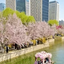 北京旅游 缩略图 14