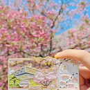 北京旅游 缩略图 7