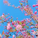 北京旅游 缩略图 11