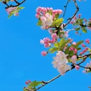 北京旅游 缩略图 13