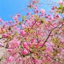 北京旅游 缩略图 14