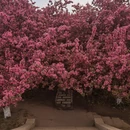 北京旅游 缩略图 1