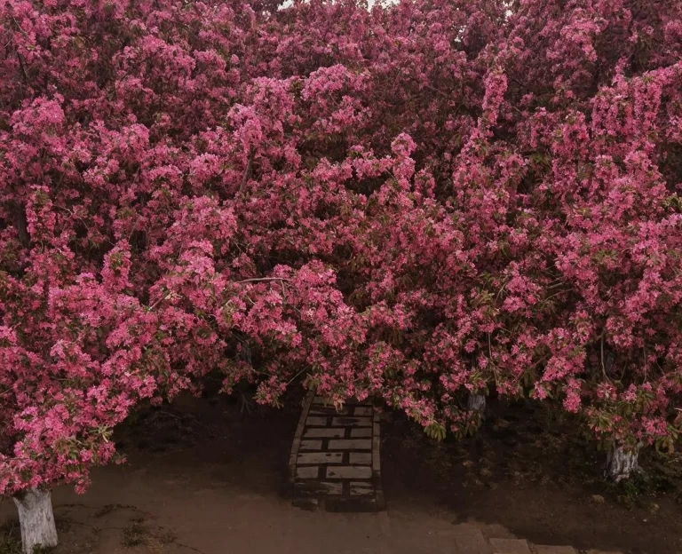 北京旅游 1