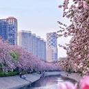 北京旅游 缩略图 5