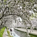 北京旅游 缩略图 3