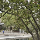 北京旅游 缩略图 9