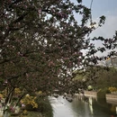 北京旅游 缩略图 8
