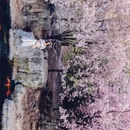 北京旅游 缩略图 3