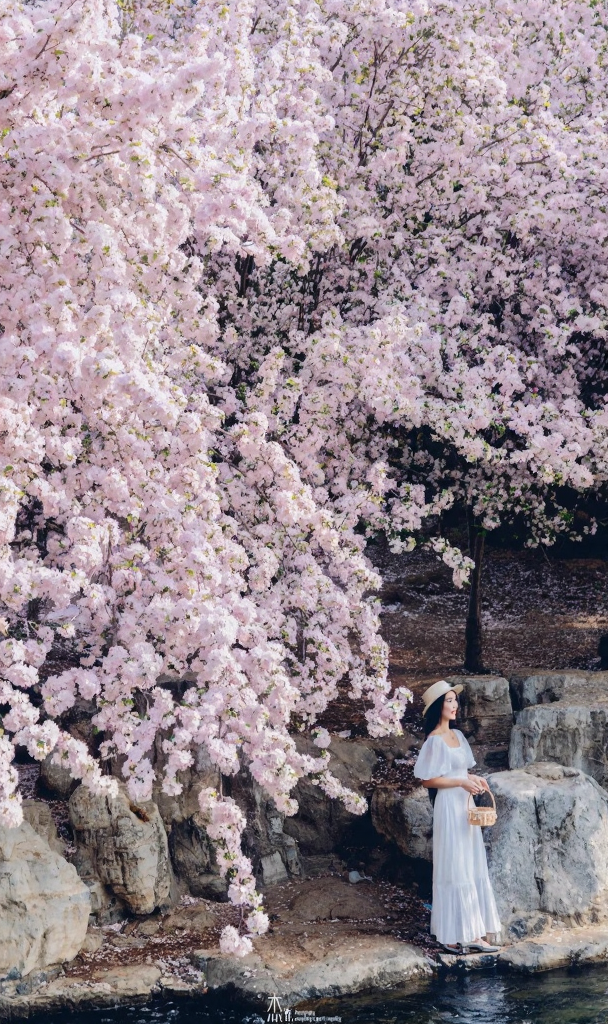 北京旅游