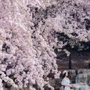 北京旅游 缩略图 1