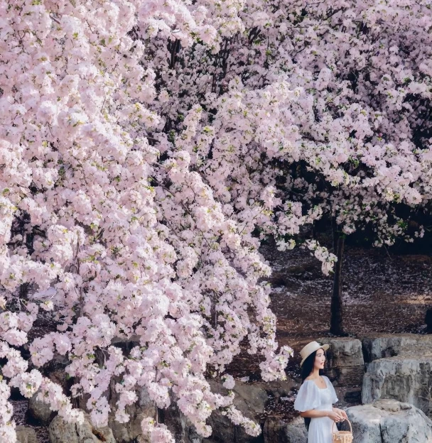 北京旅游 1