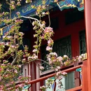 北京旅游 缩略图 5